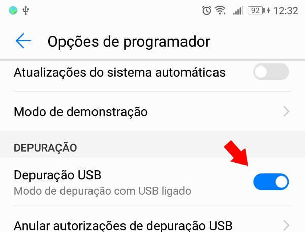 opções de programador